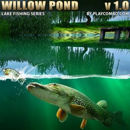 Willow Pond